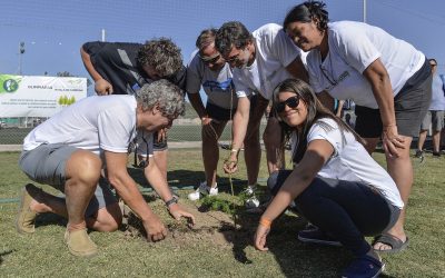 Olimpiadas sustentables | Huella de carbono